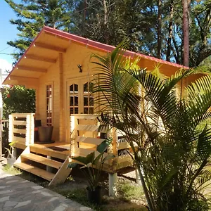 Mi Tia Yesy Chalet Jarabacoa